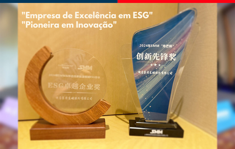 DMEGC Excelência em ESG e Inovação